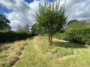 Secret Garden- click for photo gallery